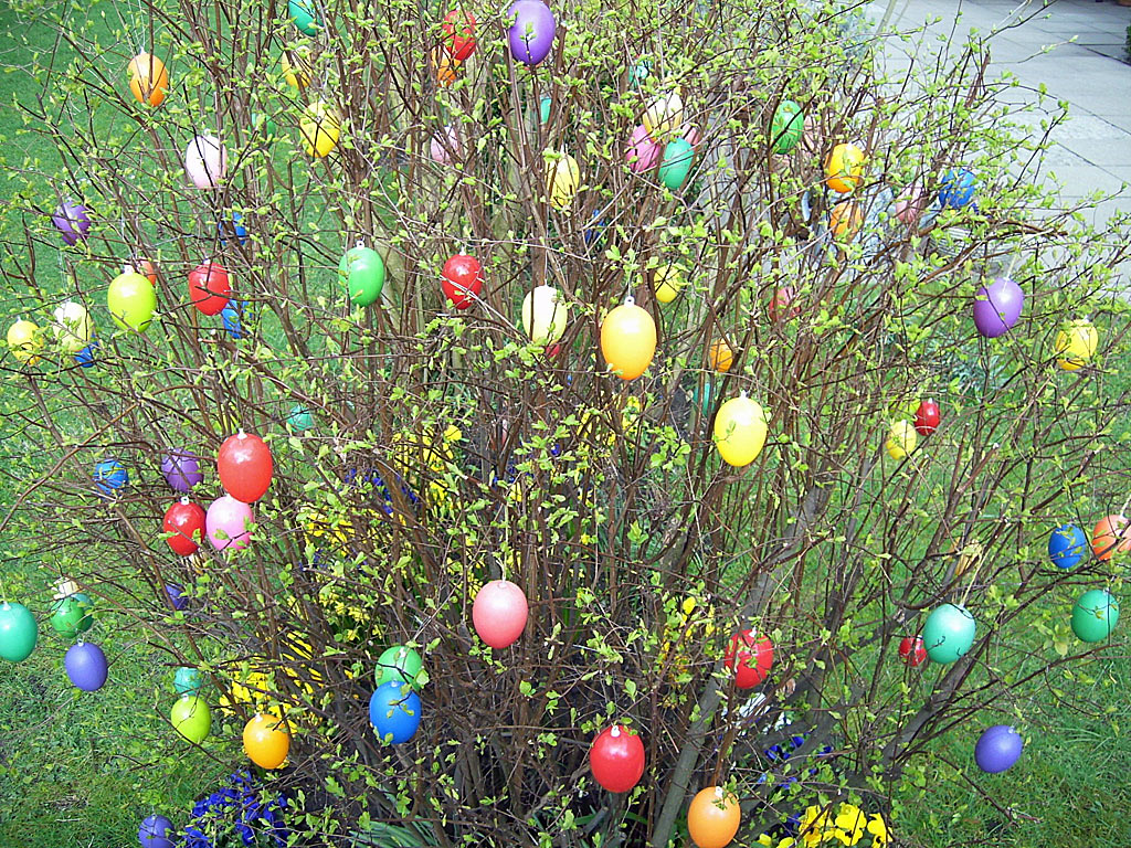 Árvore decorada com cascas de ovos coloridas